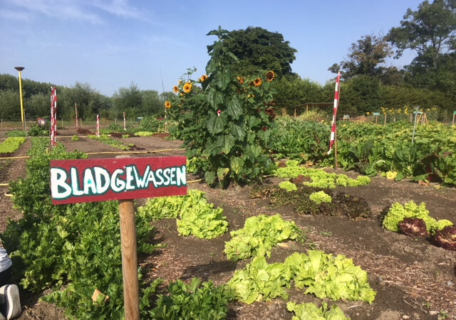 https://academie71.nl/wp-content/uploads/2024/06/Ecotuin-DZB-640x450.jpg