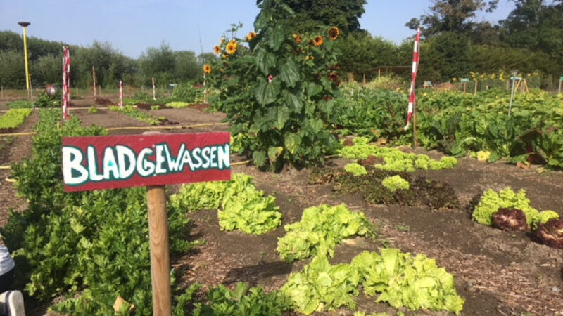 https://academie71.nl/wp-content/uploads/2024/06/Ecotuin-DZB-e1718007489255-800x450.jpg