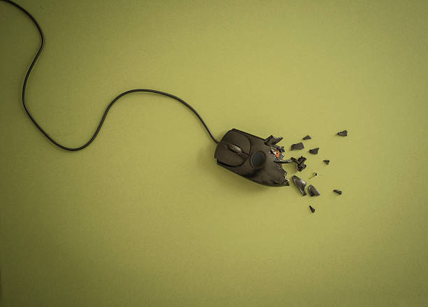 https://academie71.nl/wp-content/uploads/2025/05/istockphoto-477470374-612x612-1.jpg