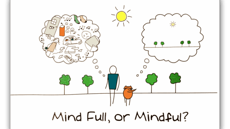 https://academie71.nl/wp-content/uploads/2025/06/mindfull-mindful-768x493-1-800x450.png