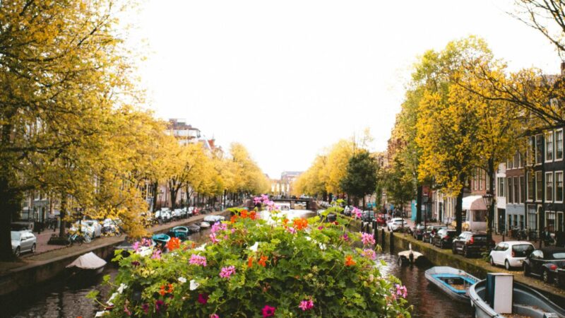 https://academie71.nl/wp-content/uploads/2025/06/pexels-david-wilkowski-432252441-29027679-1-800x450.jpg