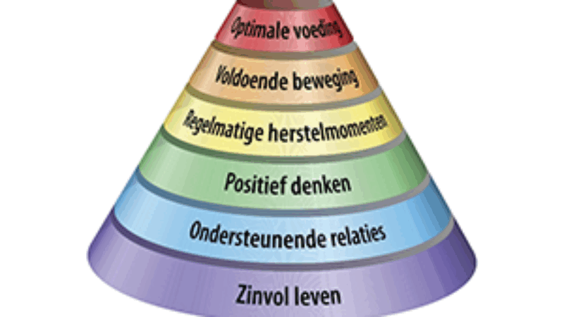https://academie71.nl/wp-content/uploads/2025/06/vitaliteit-800x450.png