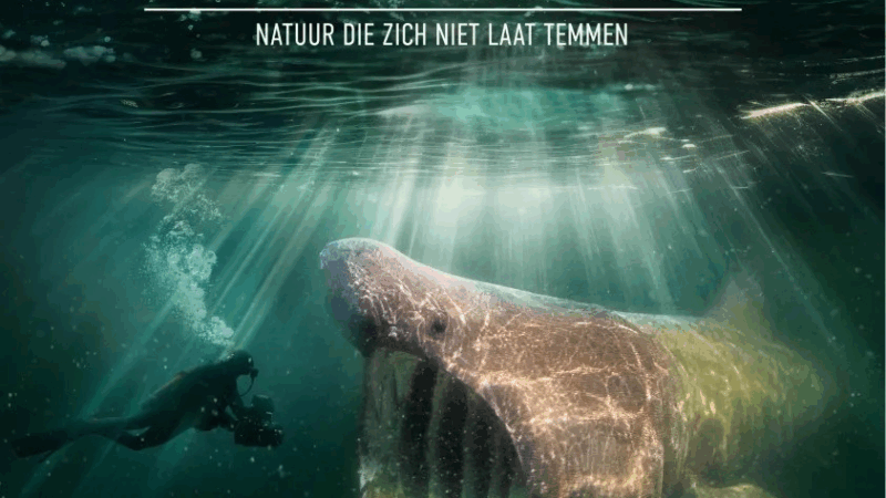 https://academie71.nl/wp-content/uploads/2025/06/wxg52zpo-800x450.png