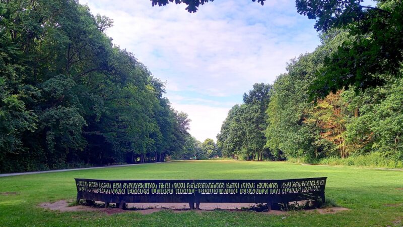https://academie71.nl/wp-content/uploads/2026/03/Hart-grote-veld-800x450.jpg