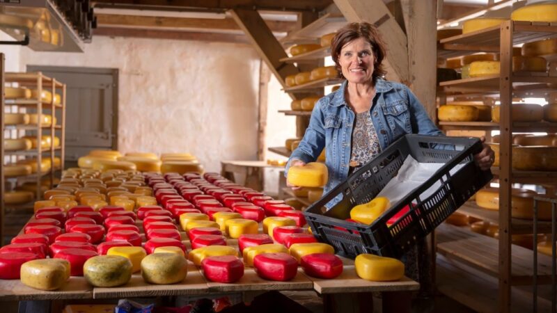 https://academie71.nl/wp-content/uploads/2026/03/Kaasboerderij-van-Veen-Karin-800x450.jpg