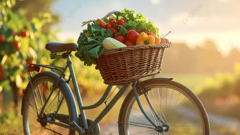 https://academie71.nl/wp-content/uploads/2026/03/Schermafbeelding-fiets-800x450.png