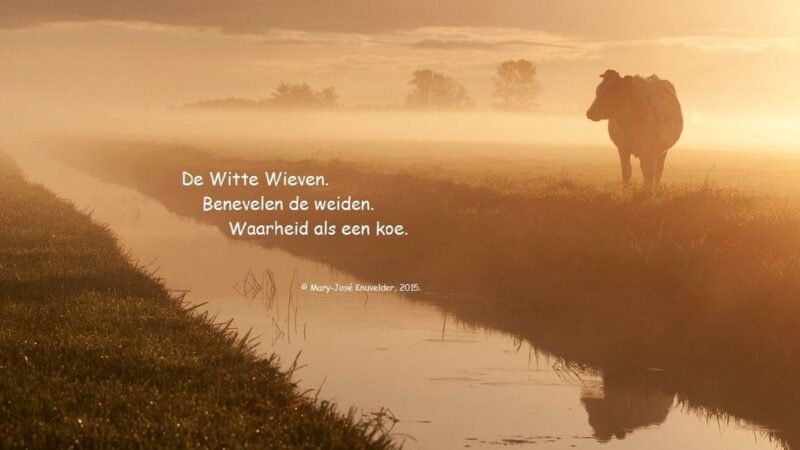 https://academie71.nl/wp-content/uploads/2026/04/1508825039-de-witte-wieven.-waarheid-als-een-ke-haiku-5-10-17-800x450.jpg