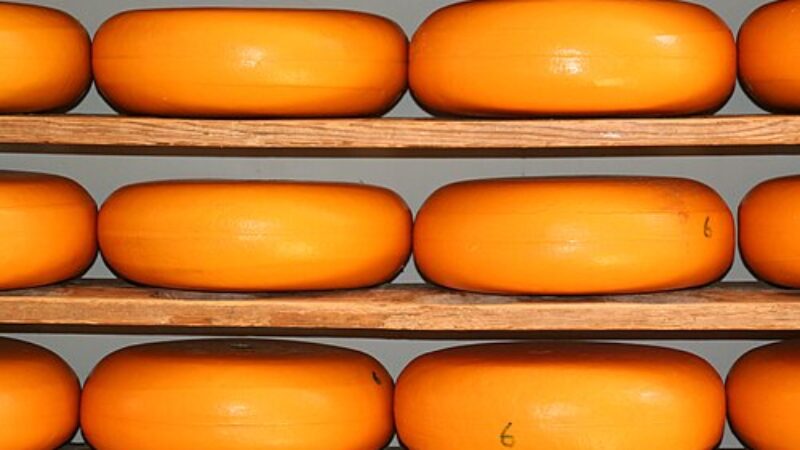 https://academie71.nl/wp-content/uploads/2026/04/Kaas_op_planken-800x450.jpg