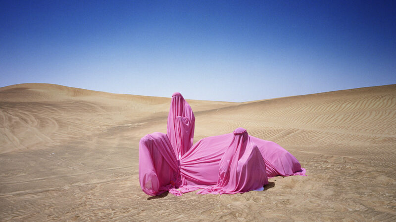 https://academie71.nl/wp-content/uploads/2026/04/Still-Life-with-Camel-800x450.jpg