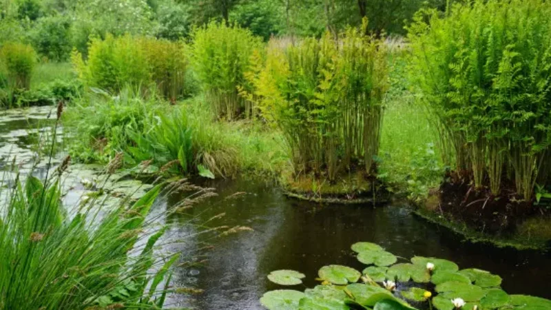 https://academie71.nl/wp-content/uploads/2026/04/dsc01986_aa_0-800x450.webp