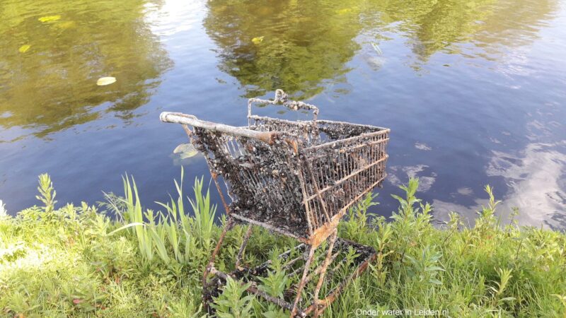 https://academie71.nl/wp-content/uploads/2026/04/kunstrif_winkelwagen_plantsoen_leiden-31ecb7c7-800x450.jpeg