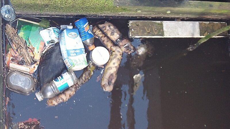 https://academie71.nl/wp-content/uploads/2026/04/onderwaterinleiden_taskforce-drijvuilvissen_hotspot-800x450.jpg