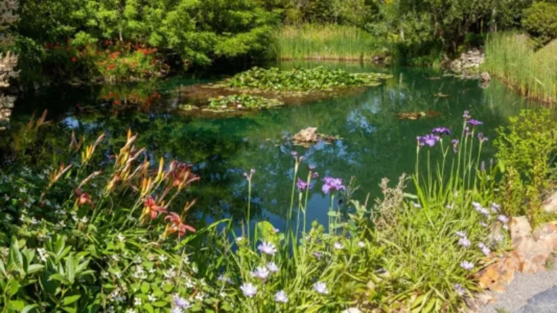 https://academie71.nl/wp-content/uploads/2026/04/shutterstock_1933656611_enw_biodiversiteit_25pct-800x450.webp