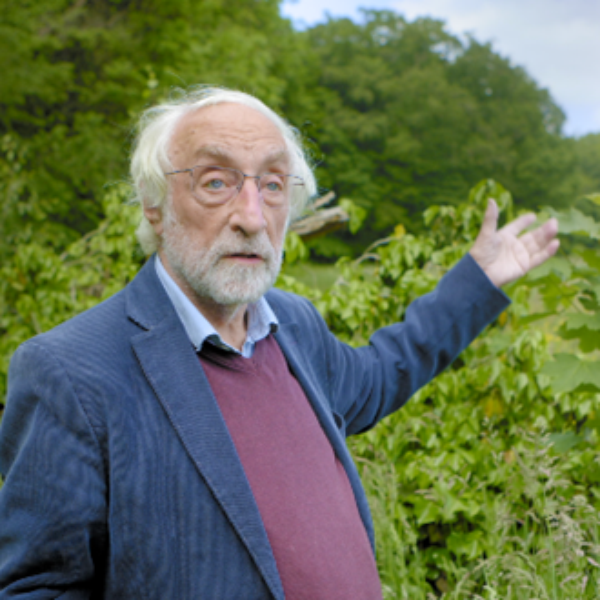 https://academie71.nl/wp-content/uploads/2026/05/Bert-Maes-600x600.png
