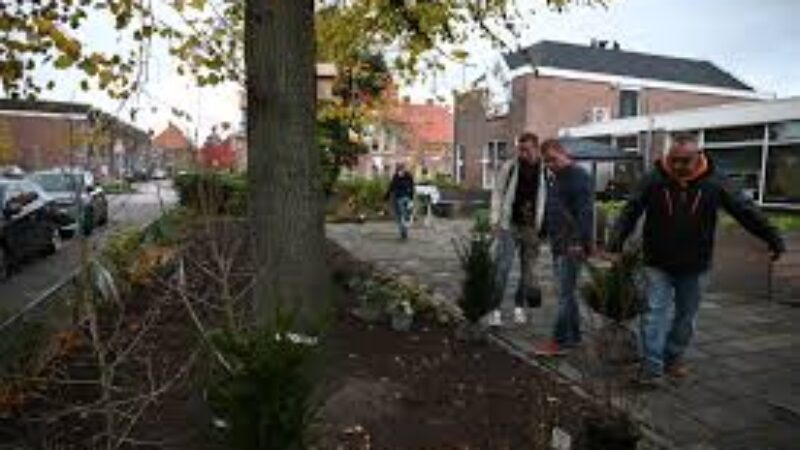 https://academie71.nl/wp-content/uploads/2026/05/downloadenbuurttuin-800x450.jpg